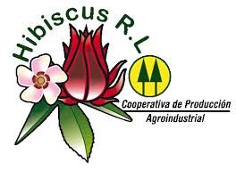 Logo - hibiscus.jpg