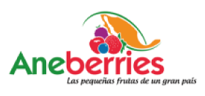 Logo - logo-muestra2.png