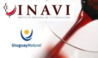 Logo - INAVI Instituto Nacional de Vitivinicultura