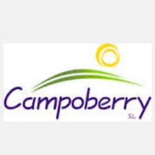 Logo - CAMPOBERRY ,S.L.