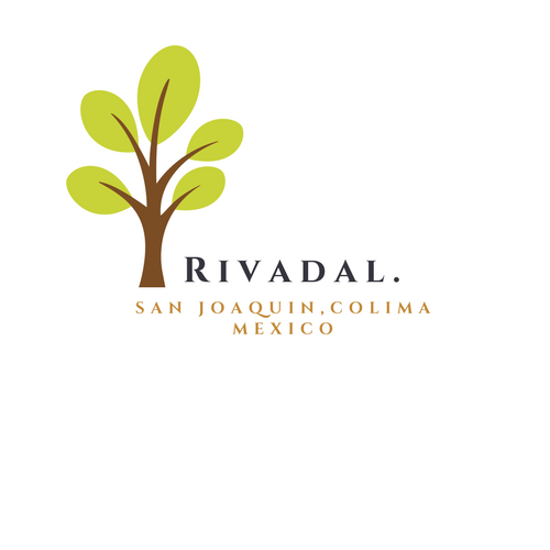 Logo - Rivadal.png