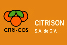 Logo - citrison.jpg