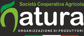 Logo - OPnatura.png