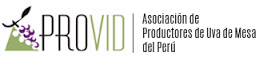 Logo - provid.png