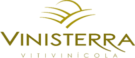 Logo - VINISTERRA.png