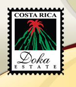 Logo - logo.jpg