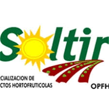 Logo - soltir.jpg