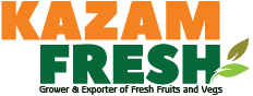 Logo - kazam.png