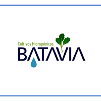 Logo - Batavia Cultivos Hidróponicos