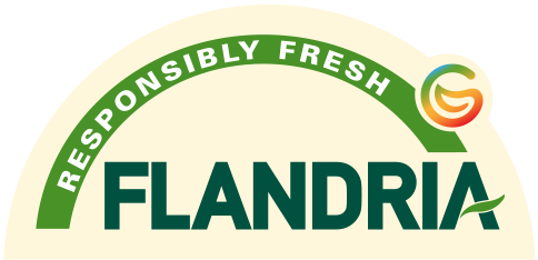 Logo - Flandria
