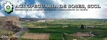 Logo - Agropecuaria i Seccio de Crdit de Soses SCCL