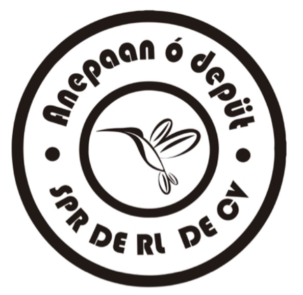 Logo - ANEPAAN O'DEPÜT S.P.R. DE R.L.