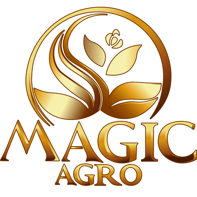 Logo - Megik_Agro-06.png