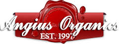 Logo - angius.jpg