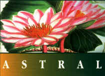 Logo - ASTRAL EXTRACTS, LTD