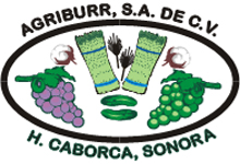 Logo - agribur.jpeg