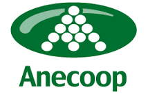 Logo - cofrudeca.png