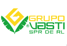 Logo - Grupo Vasti