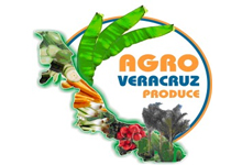 Logo - Agro Velázquez Produce