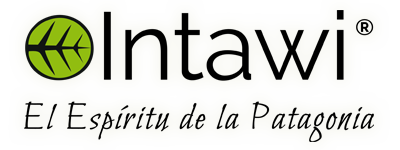 Logo - Intawi Limitada