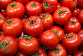 Tomate - Casco Produce