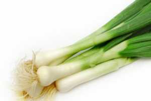 Cebollín - Agrícola Nueva Era