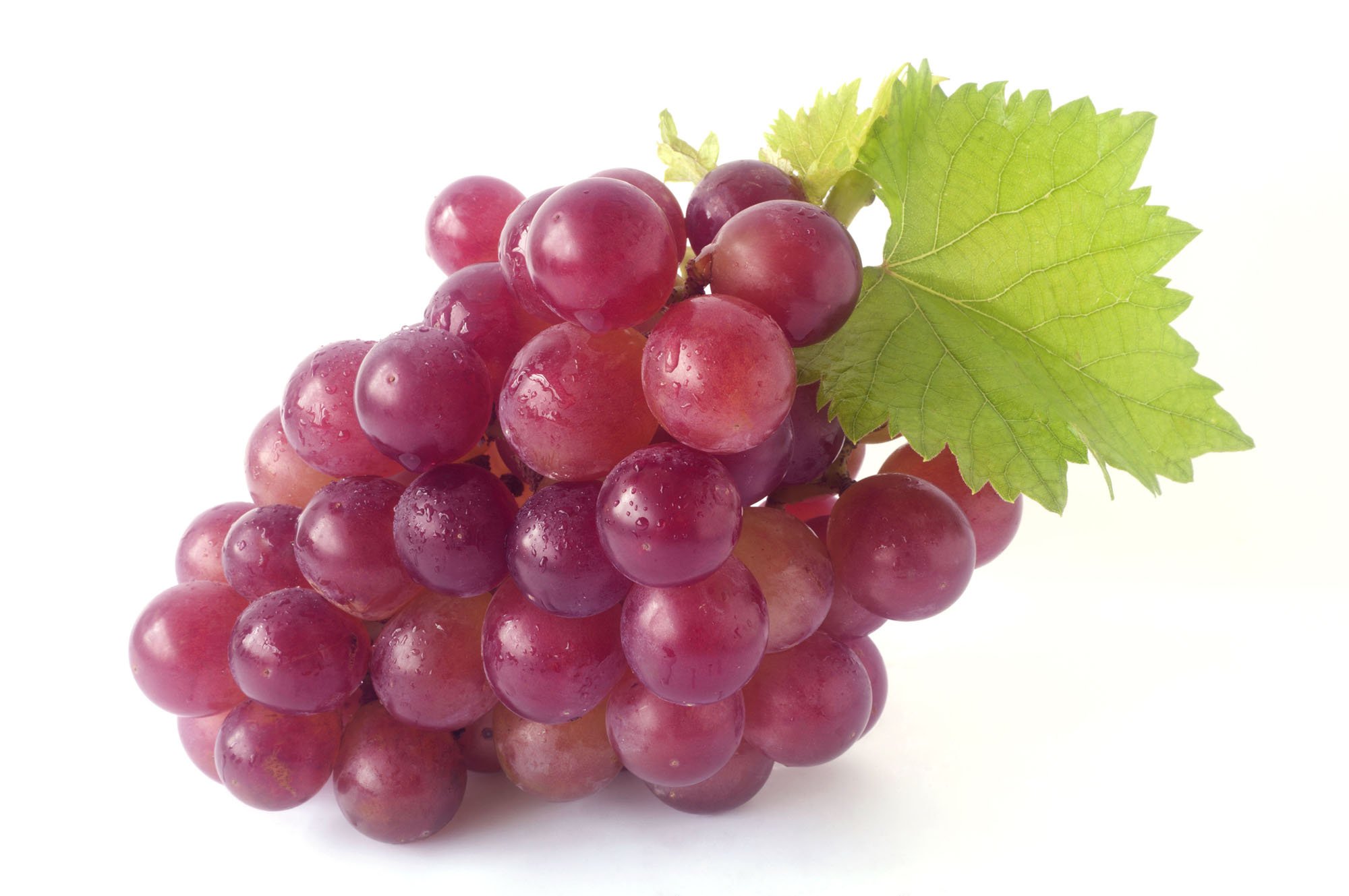 Uva - Agrofresh Export Consortium, S,L
