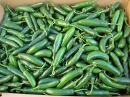 Chile Serrano - Agrícola Valle de los Lirios