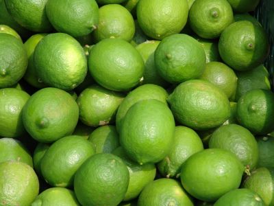 Limón  - Exportadora de Cítricos de Acateno