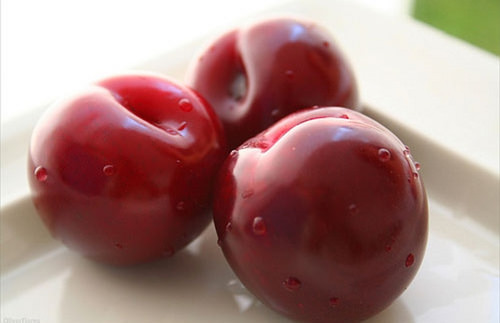 Ciruela - AGRICOLA VILLENA COOP. V