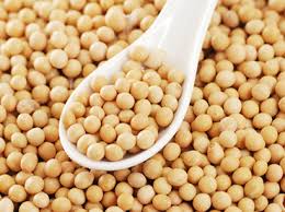 Soja - SUMINTER INDIA ORGANIC PRIVATE LIMITED