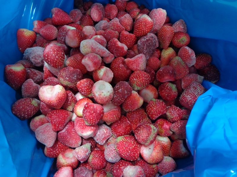 Strawberry - Grupo Anahuac