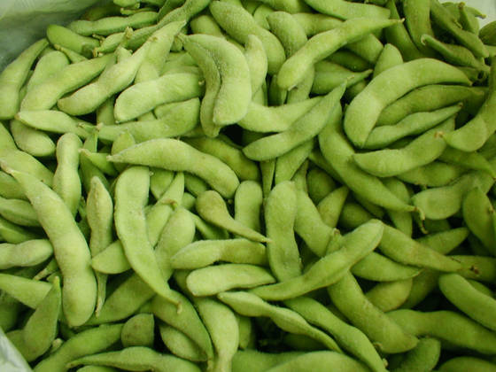 Vaina - ROBERT & SAYER