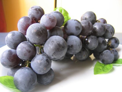 Uva - WESSEX WINES