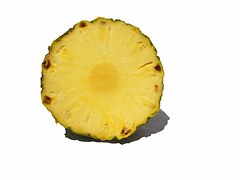 Piña - David Oppenheimer Co. PERÚ