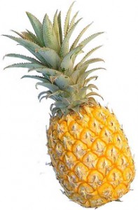 Piña - Frucam S.A de C.V.