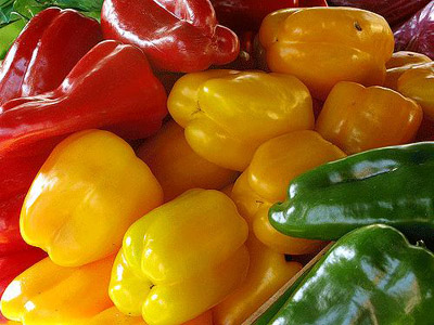 Pimiento Congelado - COOP AGRICOLA NTRA SRA DE LA FUENTE COOP VALENCIAN