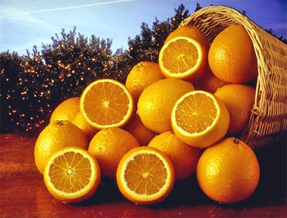 Naranja - ANTONIO LLUSAR Y CIA., S.L