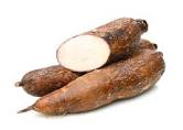 Yuca - COMPAÑÍA AGRÍCOLA CALDMOB CÍA. LTDA