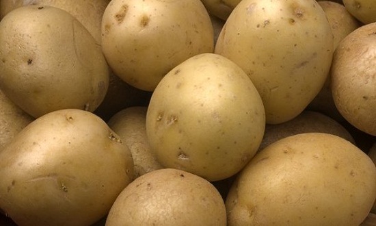 Papa - CORPORACIÓN INDUSTRIAL DILLMANN SA. - CORDILL S.A