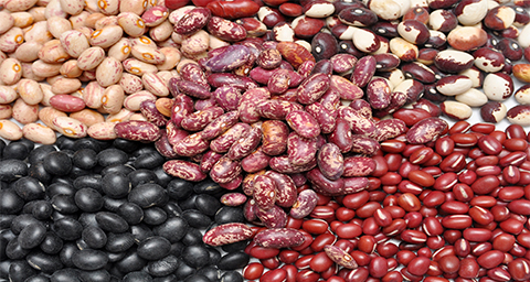 Bean - JOSE MIGUEL ARROYO BEJARANO