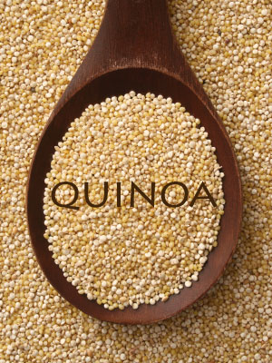 Quinoa - SOC.AGROECO SOSTENIBLE SAES LTDA