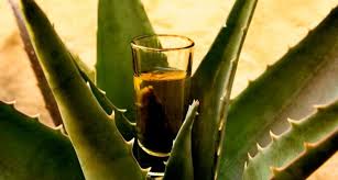 Mezcal - Los Terreros