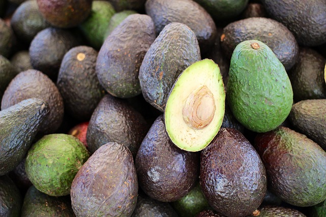 Aguacate Hass - Aba Desarrollos