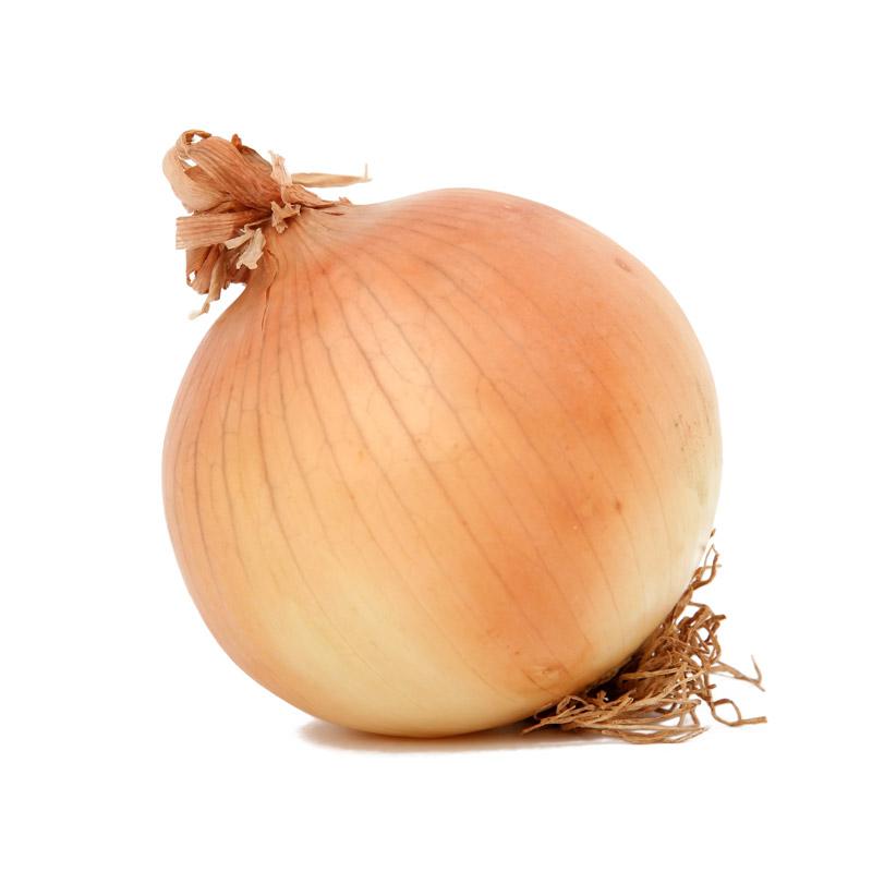 Onion - TJ AGRICULTURA, S.L