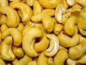 Cashew - Cashew & Salted Cashew