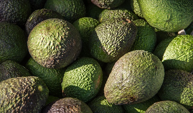 Aguacate Hass - Hassiba
