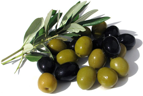 Olive - Jose Gabriel Galli