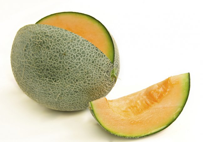 Melón - Agroexportadora Nobleza, S.A