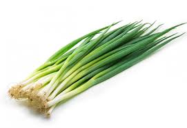 Scallions - Herbex Iberia SLel eje